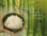 Spaquatoria Уход за телом - Программа Rice &amp; Vegetables Рис и овощи